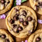 The Best Brown Butter Chocolate Chip Cookies