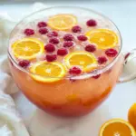Easy Party Punch