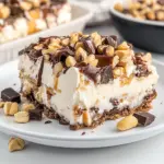 Turtle Lasagna Dessert